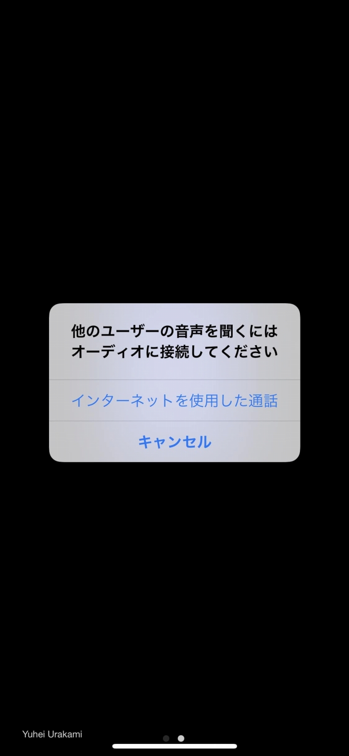 スクリーンショット4：「インターネットを使用した通話」を選択